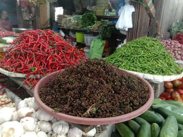 harga_andaliman_di_toba_tembus_rp350_ribu_per_kg_tetap_jadi_primadona_dapur
