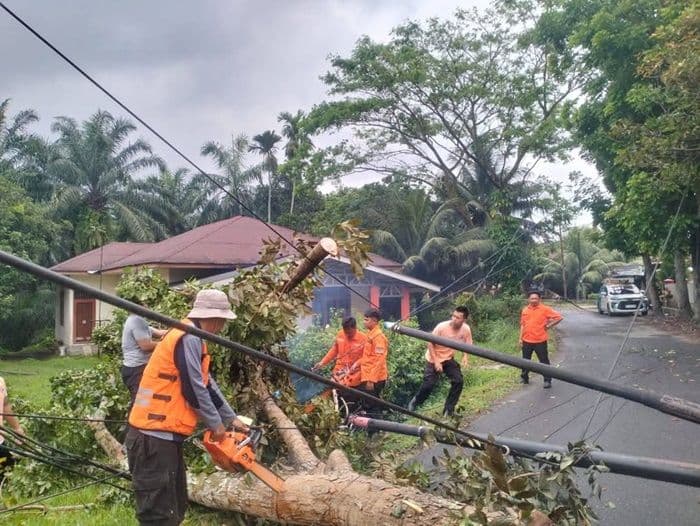 mendadak_hujan_disertai_angin_kencang_pohon_tumbang_di_binjai