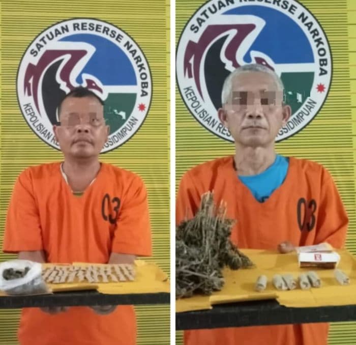 polres_padangsidimpuan_tangkap_dua_pengedar_ganja_pemasok_diburu