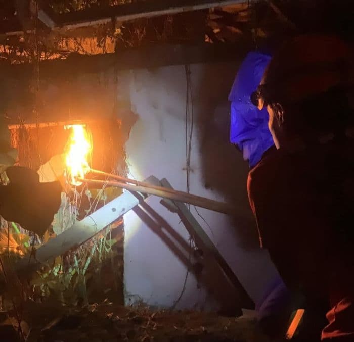 gangguan_ular_dan_tawon_hebohkan_binjai_bpbd_selamatkan_warga