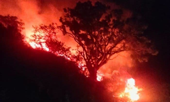 tiga_tahun_terakhir_167_hektare_lahan_terbakar_di_simalungun_biodiversitas_terancam