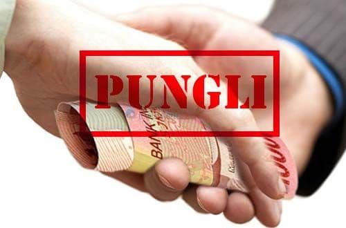 ketua_lpm_labusel_diduga_pungli_ke_kades_dan_opd_catut_nama_bupati