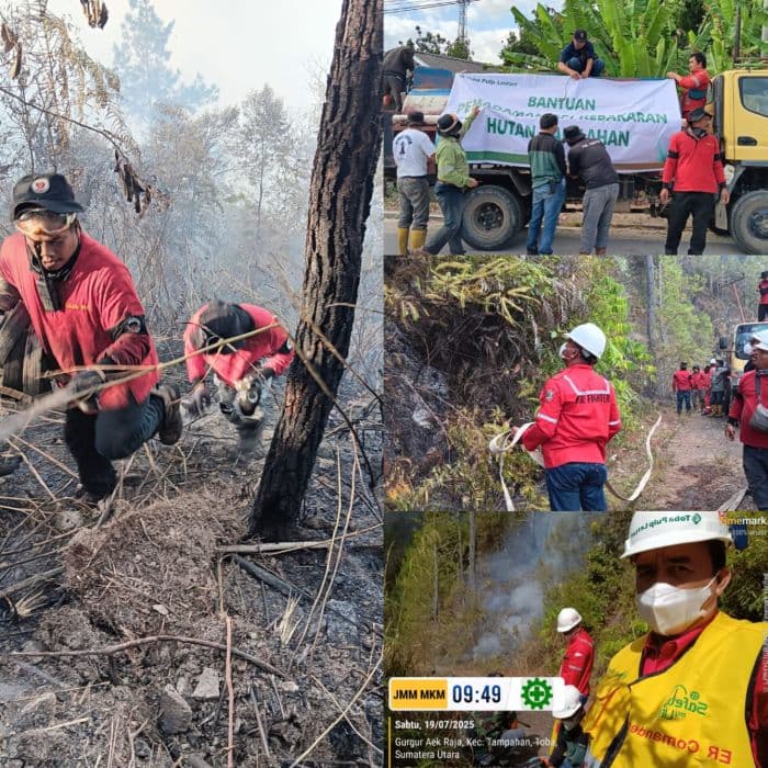 tpl_terjun_padamkan_karhutla_di_dolok_tolong_gunakan_drone_dan_armada_lengkap