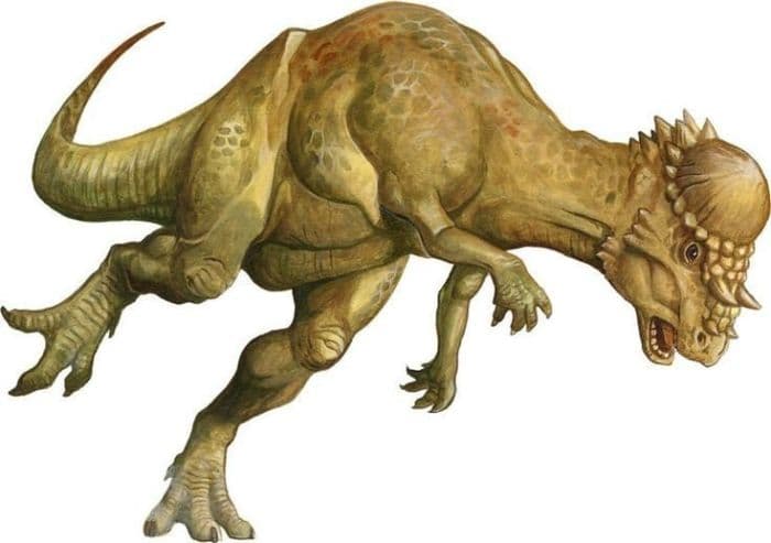 fosil_dinosaurus_kubah_kepala_108_juta_tahun_buka_misteri_evolusi