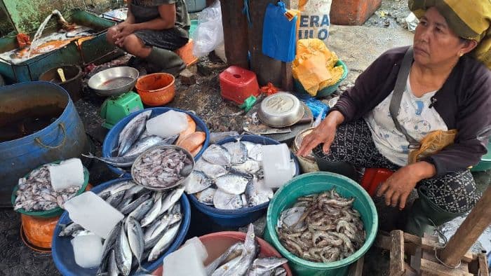 harga_ikan_melonjak_di_kota_medan_pedagang_dan_pembeli_mengeluh