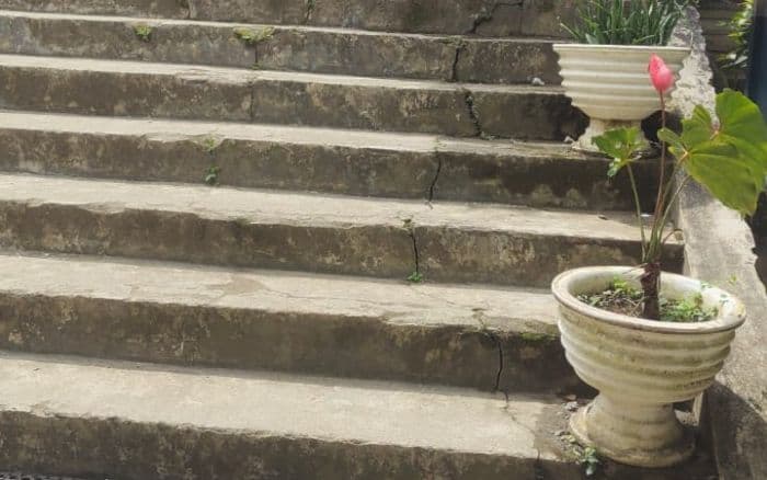 penggunaan_dana_bos_di_smpn_1_sianjur_mulamula_rp10_juta_untuk_beli_pot_bunga