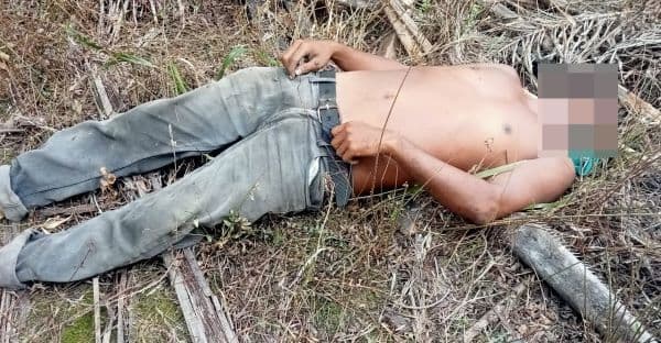 petani_sawit_di_labura_tewas_tersengat_listrik_saat_panen