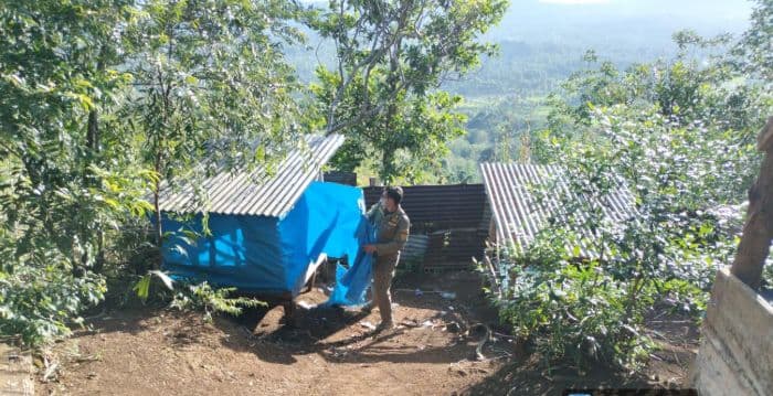 satpol_pp_tertibkan_pondok_ditutup_terpal_di_padangsidimpuan