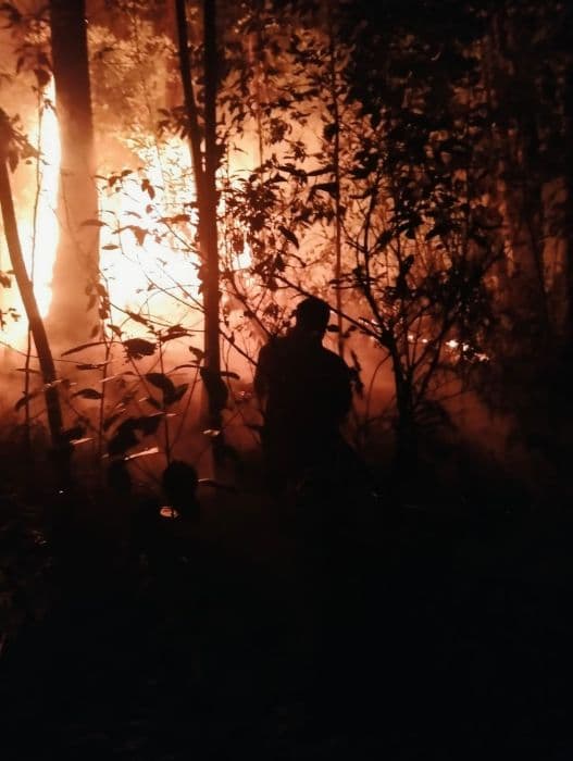 bukit_simarjarunjung_terbakar_bpbd_simalungun_turunkan_dua_tim_ke_lokasi