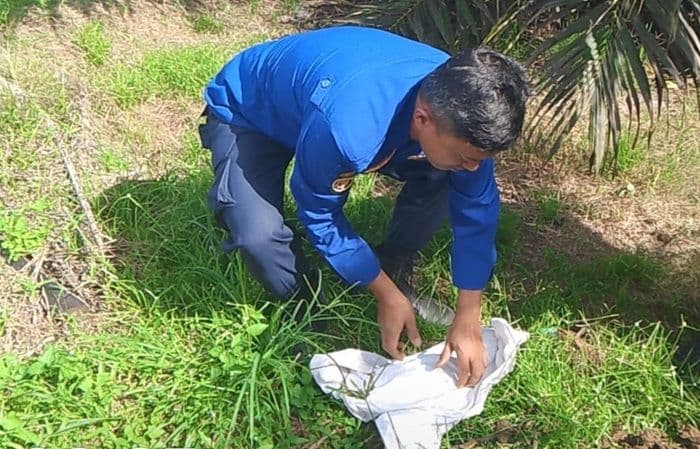disdamkarmat_siantar_dapat_tugas_unik_dari_warga_yang_ketakutan_dan_sendirian