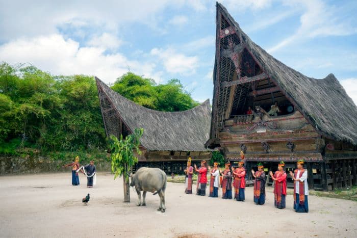 pprpi_siapkan_ritual_mangalahat_horbo_dan_deklarasi_tarombo_di_batu_hobon