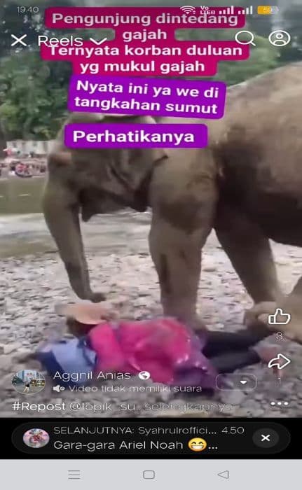 viral_pengunjung_wanita_nyaris_dipijak_gajah_di_objek_wisata_tangkahan