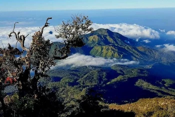 gunung_lawu_dilelang_untuk_proyek_panas_bumi_kementerian_esdm_angkat_bicara