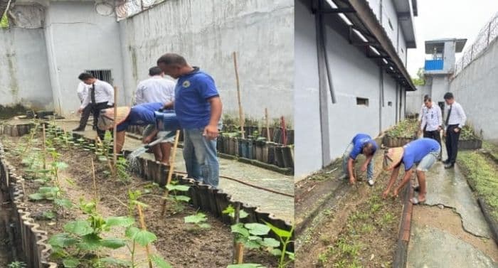 lapas_tebing_tinggi_latih_warga_binaan_jadi_petani_mandiri_dukung_ketahanan_pangan_nasional