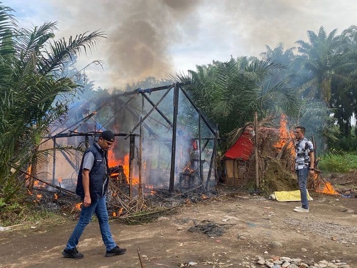 polisi_bakar_barak_narkoba_di_sei_bingai_langkat_sudah_berkalikali_dimusnahkan_tetap_muncul_lagi_