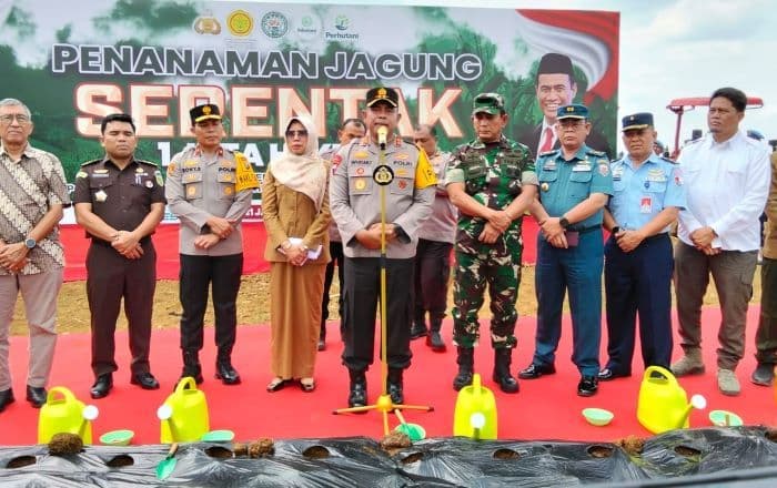 kelola_ratusan_hektar_lahan_jagung_polda_sumut_rangkul_kelompok_tani_