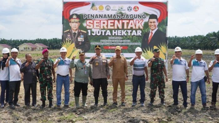 penanaman_jagung_serentak_1_juta_hektar_juga_dilakukan_di_langkat_