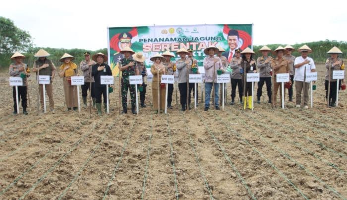 polres_sergai_tanam_jagung_di_9_areal_milik_perseroan_terbatas