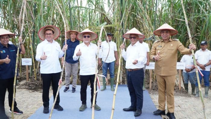 target_11_juta_gula_menko_pangan_dan_mendag_kunjungi_kebun_tebu_di_langkat