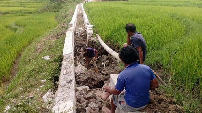 saluran_irigasi_di_lobu_siregar_taput_rusak_akibat_curah_hujan_yang_tinggi