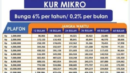 ajukan_kur_pelaku_usaha_bisa_tambah_modal_hingga_rp100_juta