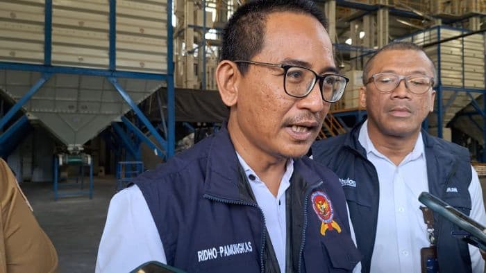 kppu_sidak_kilang_padi_di_deli_serdang_temukan_kendala_pasokan