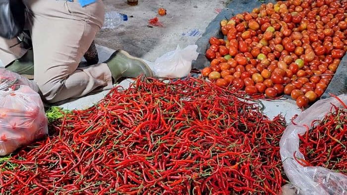 harga_cabai_merah_kembali_turun_di_medan_bawang_stabil