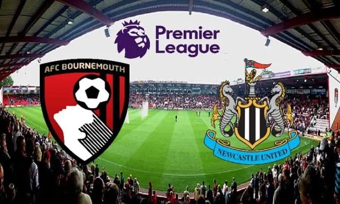 wow_prediksi_bournemouth_vs_newcastle_united_siapa_unggul_di_vitality_stadium