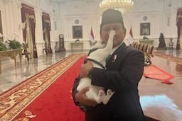 mengintip_kebiasan_bobby_kertanegara_sang_kucing_istana_setahun_belakangan