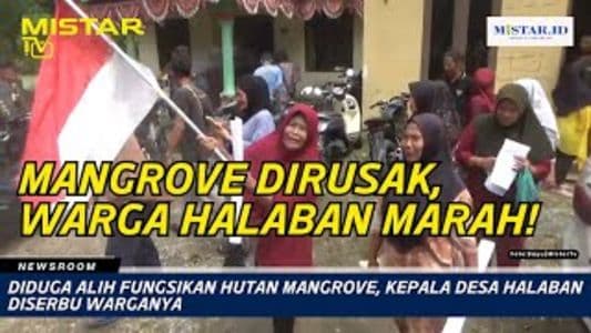newsroom_diduga_alih_fungsikan_hutan_mangrove_kepala_desa_halaban_diserbu_warganya