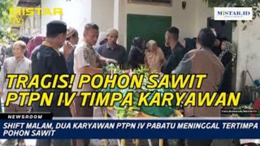 newsroom_shift_malam_dua_karyawan_ptpn_iv_pabatu_meninggal_tertimpa_pohon_sawit