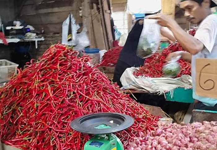 harga_cabai_merah_naik_lagi_di_pasar_dwikora_tembus_rp80000kg