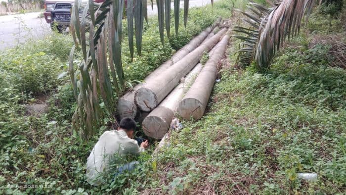 tiang_listrik_ditelantarkan_6_tahun_di_palas_warga_soroti_kinerja_pln_rayon_sibuhuan