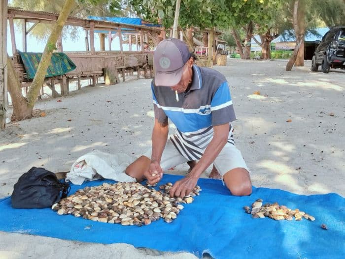 kisah_suhatta_20_tahun_mencari_kepah_di_pantai_serdang_bedagai