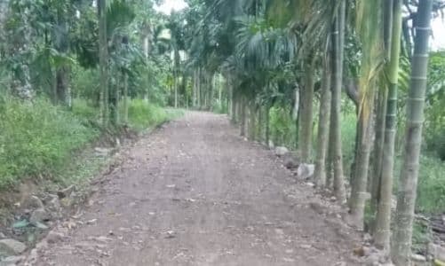 sarat_penyimpangan_kejari_dairi_diminta_periksa_apbdes_2024_lau_bagot_