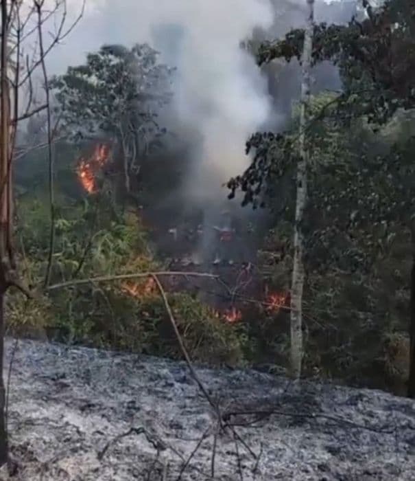 kebakaran_lahan_sawit_di_langkat_masih_berlanjut_petugas_siaga_di_lokasi