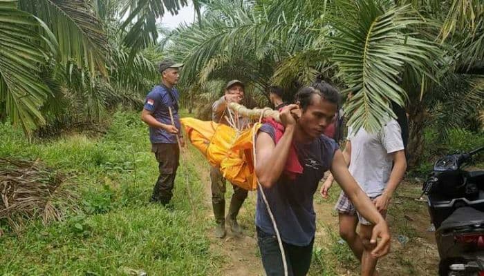 diduga_hanyut_jenazah_pria_33_tahun_dievakuasi_dari_sungai_tongguran_di_simalungun