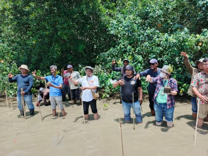 mengetahui_pentingnya_mangrove_bagi_kehidupan