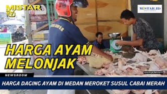 newsroom_harga_daging_ayam_di_medan_meroket_susul_cabai_merah