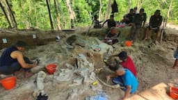 fosil_gajah_purba_stegodon_ditemukan_utuh_di_pegunungan_nganjuk