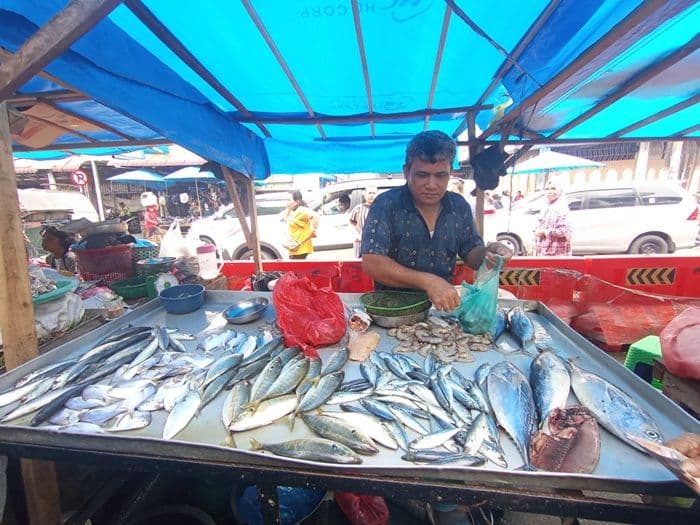 harga_udang_naik_di_pasar_tradisional_siantar_ikan_tongkol_relatif_stabil