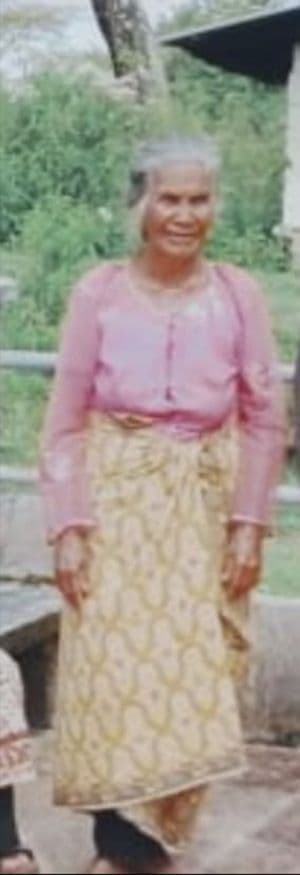 nenek_80_tahun_hilang_8_hari_di_samosir_keluarga_minta_bantuan_warga