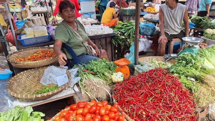pengamat_sebut_kenaikan_harga_cabai_di_sumut_bukan_karena_hari_raya_imlek