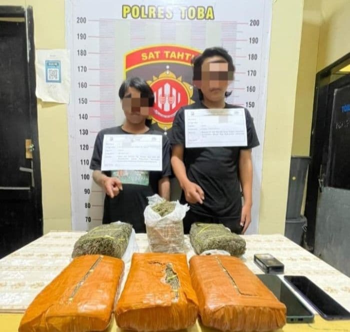 bawa_7_kg_ganja_dua_kurir_di_toba_ditangkap