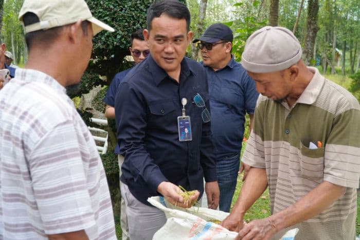 bulog_sumut_serap_gabah_petani_di_langkat_dengan_harga_rp6500_per_kg