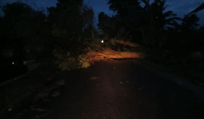 hujan_deras_disertai_angin_di_siantar_belasan_pohon_tumbang_dan_listrik_padam