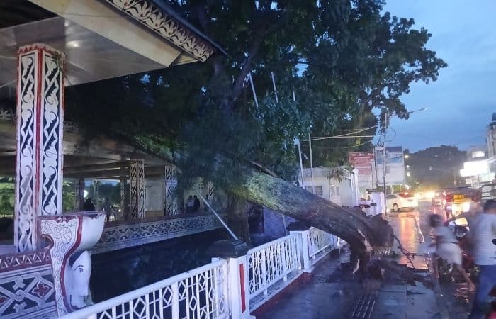 pohon_besar_tumbang_di_jalan_adam_malik_siantar_timpa_sebuah_gedung_