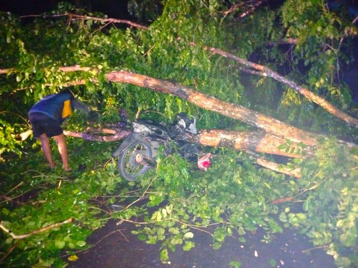 pohon_besar_tumbang_jalan_lintas_acehmedan_macet_total