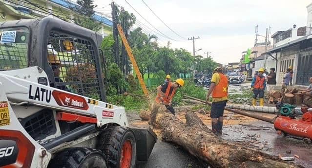 sembilan_pohon_tumbang_akibat_hujan_deras_di_medan