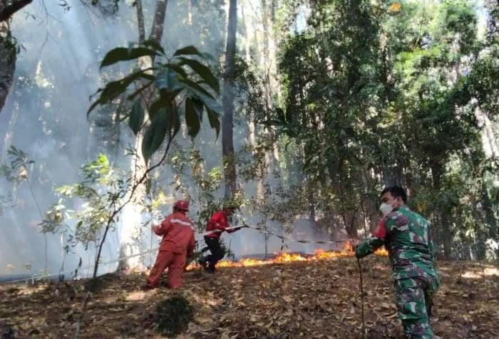 karhutla_di_kawasan_danau_toba_dinilai_semakin_memburuk_pengawasan_dinilai_lemah